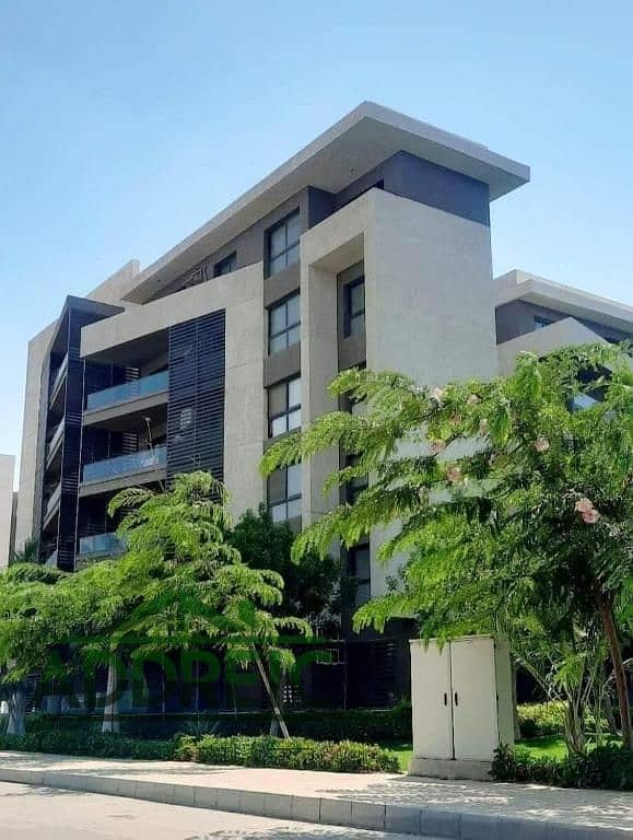 8 610681190 (1). jpg