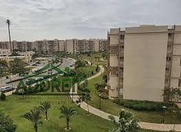 12 images (34). jpeg