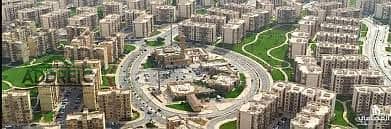 4 download (8). jpeg