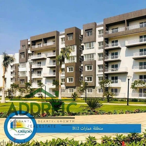 5 alessamy_b12_39416. jpeg