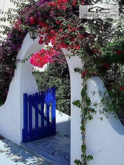 7 WhatsApp Image 2025-10-13 at 6.38. 50 PM - Copy. jpeg