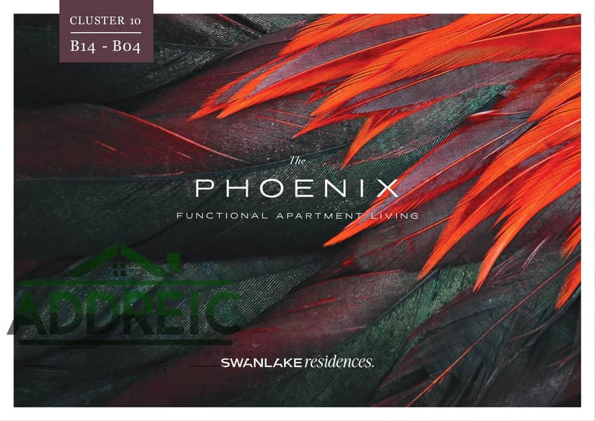 2 SLR 1bd 93m 13.2M 10 years-images-0. jpg