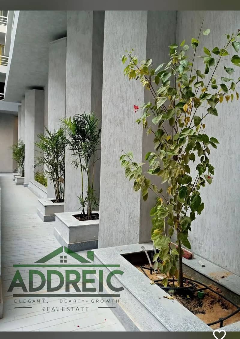 2 صورة واتساب بتاريخ 2025-10-05 في 16.15. 23_72646e7a. jpg