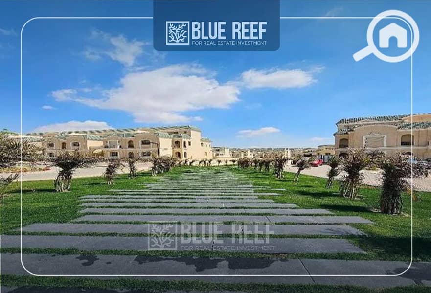 2 Bluereef  - Templete. psdsdfcv (1)-Recoveredsdfdf. jpg