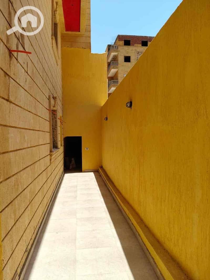 3 ff357e55-e294-45fc-b382-e3a561d9c355. jpg