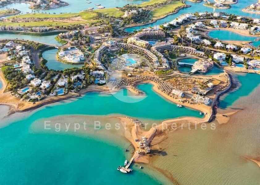 4 WhatsApp Image 2025-08-31 at 12.00. 11_830a2ef9. jpg