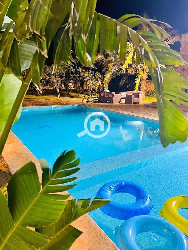 2d11051d-ad2a-49e0-8e95-295056d0dbdc. jpg 2d11051d-ad2a-49e0-8e95-295056d0dbdc. jpg