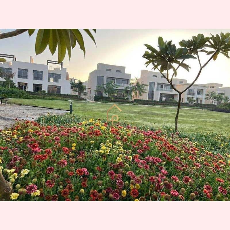 4 547110756_4423709344582104_1733761537680714933_n. jpg