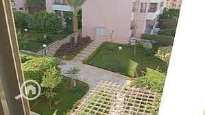 4 a0712271-a368-493f-951a-b032212be9d6. jpeg