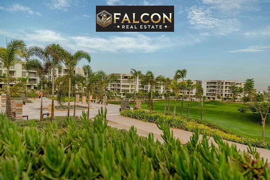 12 368784389_9790360497673023_2619593886504265882_n. jpg