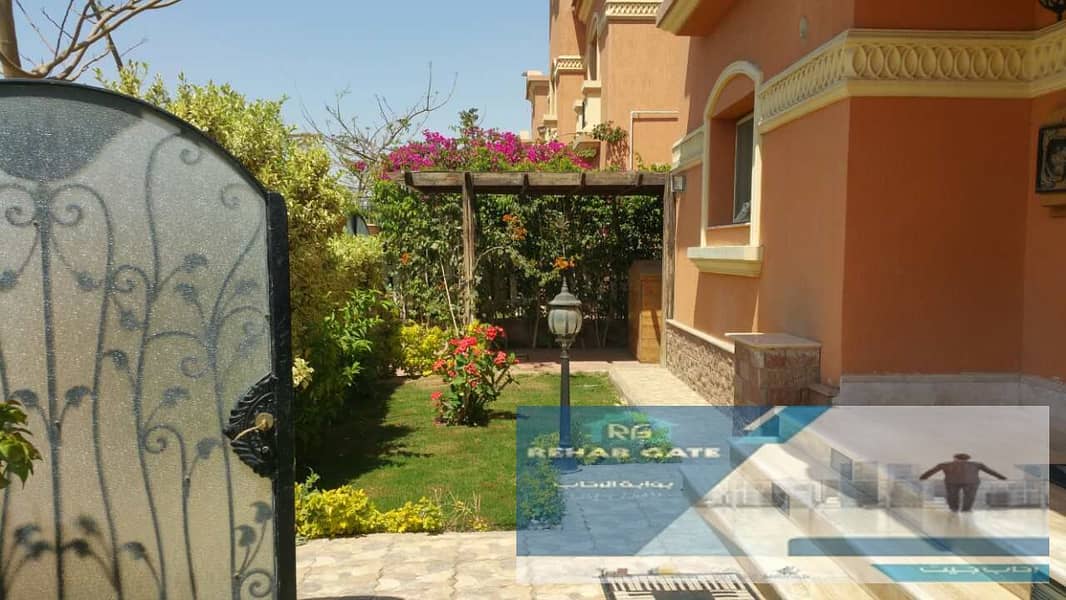 3 5f6afa34-7239-4260-a729-d42822f8166b. jpg