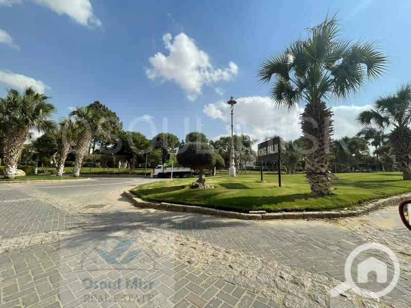 3 IMG-20251007-WA0029. jpg