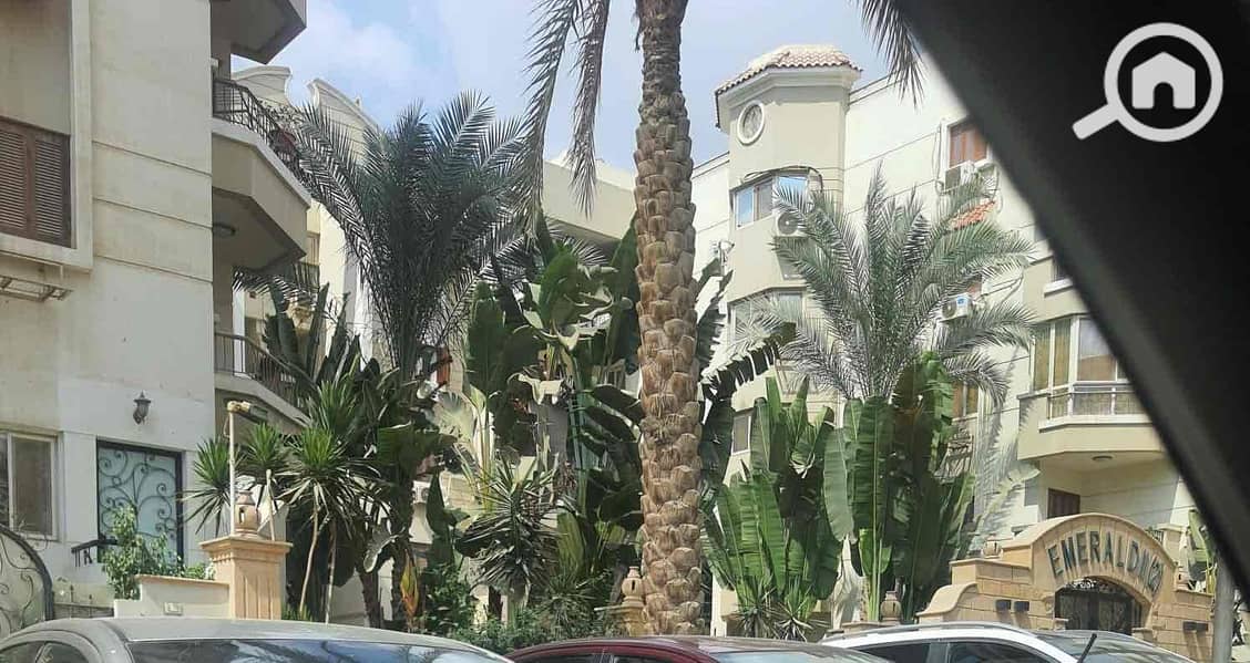 4 1ca42f4b-c18c-4ad4-94bd-6d1bbd84ec92. jpg