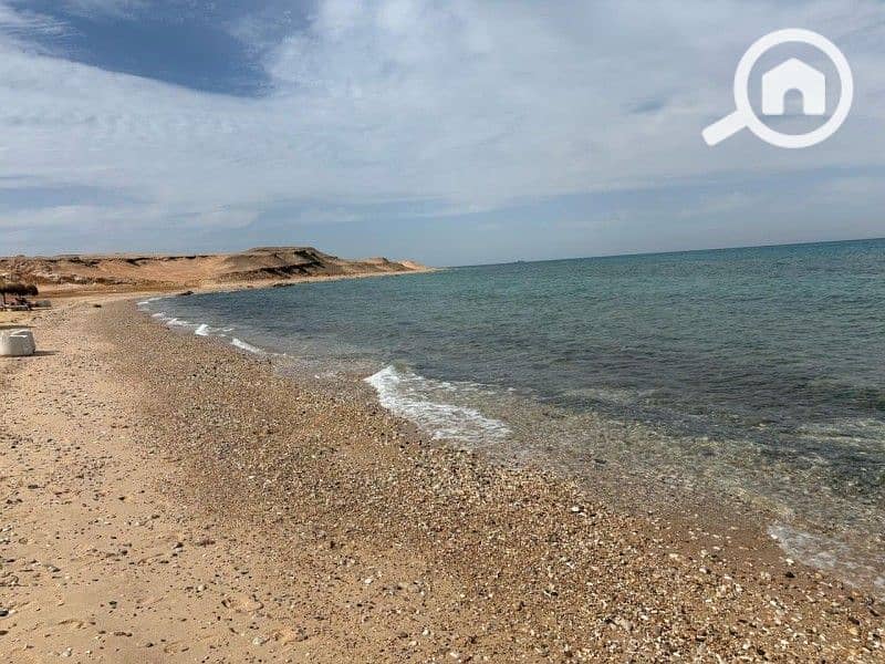 5 WhatsApp Image 2025-04-27 at 4.20. 33 PM (2). jpeg