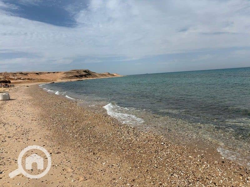 3 WhatsApp Image 2025-04-27 at 4.20. 33 PM (2). jpeg