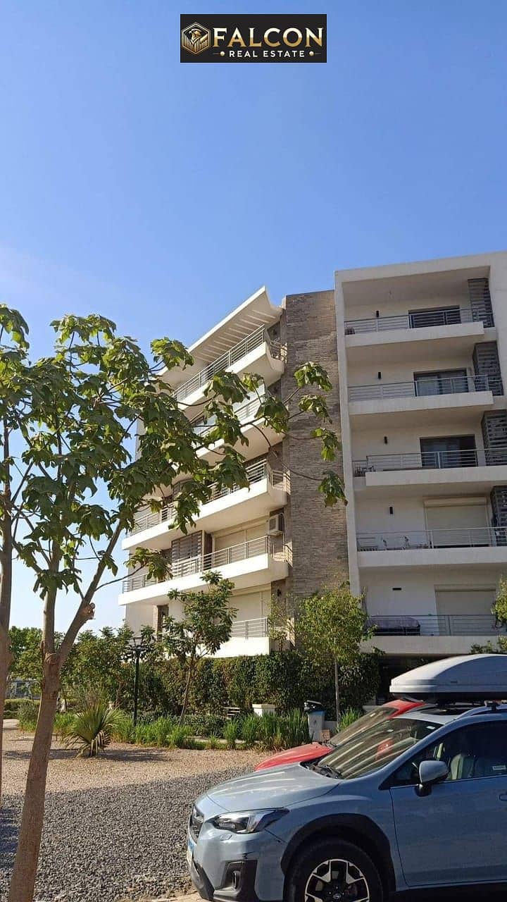 11 480207608_122219006150087826_5018028833577712501_n. jpg