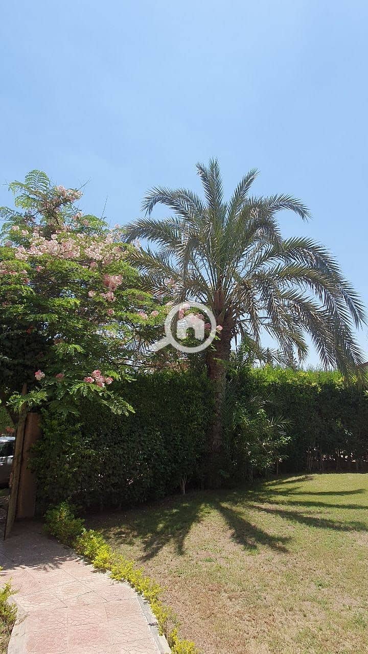 5 WhatsApp Image 2025-11-03 at 12.36. 00 PM. jpeg