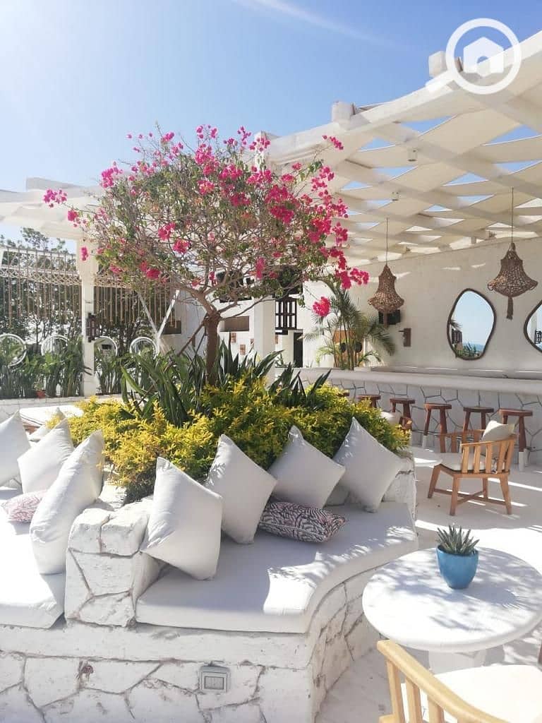 4 WhatsApp Image 2025-05-22 at 1.51. 49 PM (2). jpeg