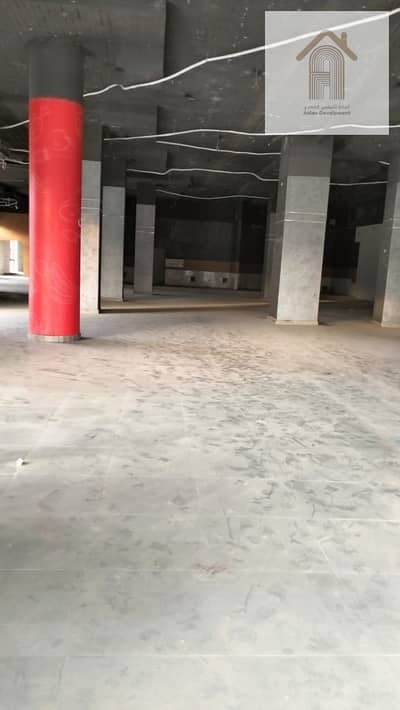 Showroom for Rent in New Cairo, Cairo - IMG-20251103-WA0053. jpg