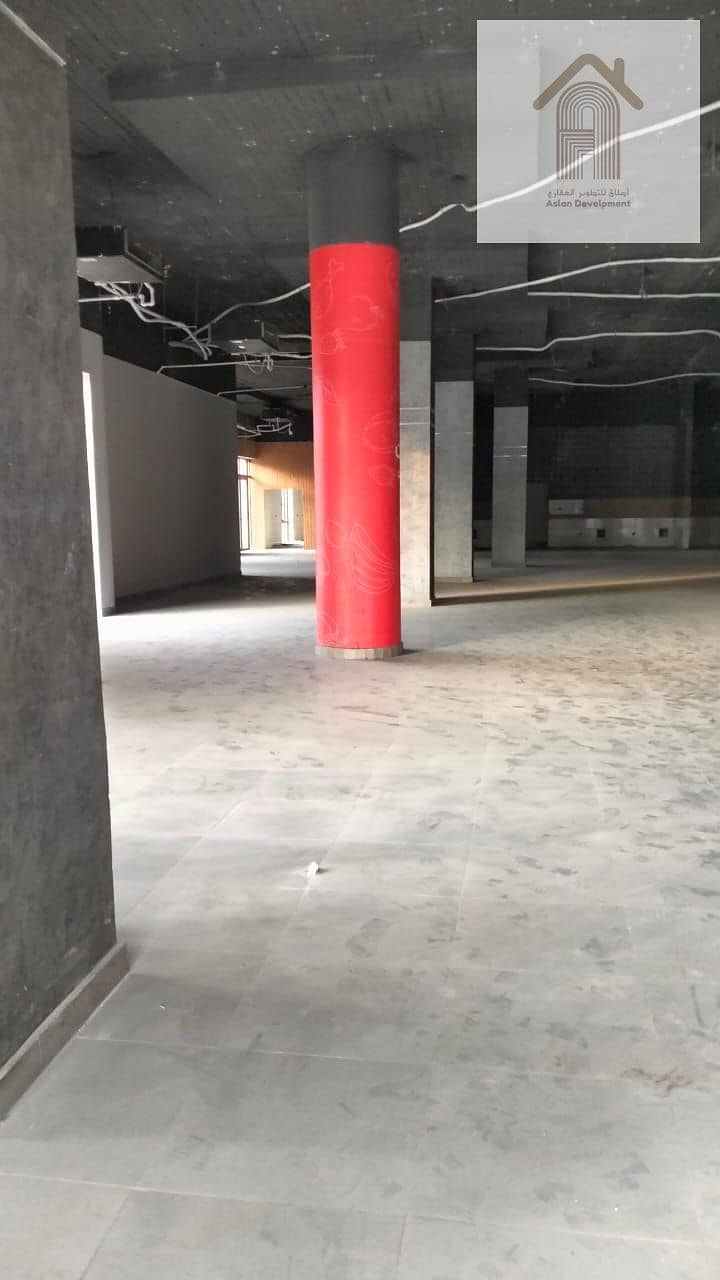 3 IMG-20251103-WA0056. jpg