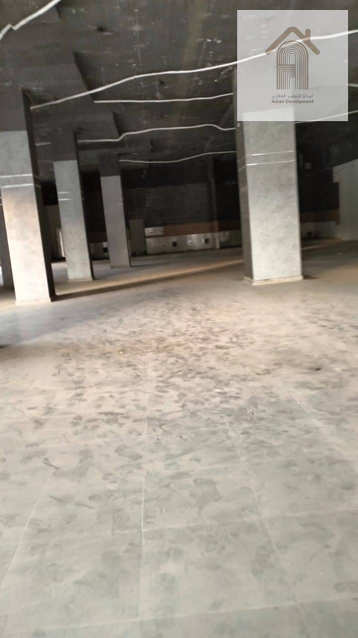 7 IMG-20251103-WA0054 - Copy. jpg