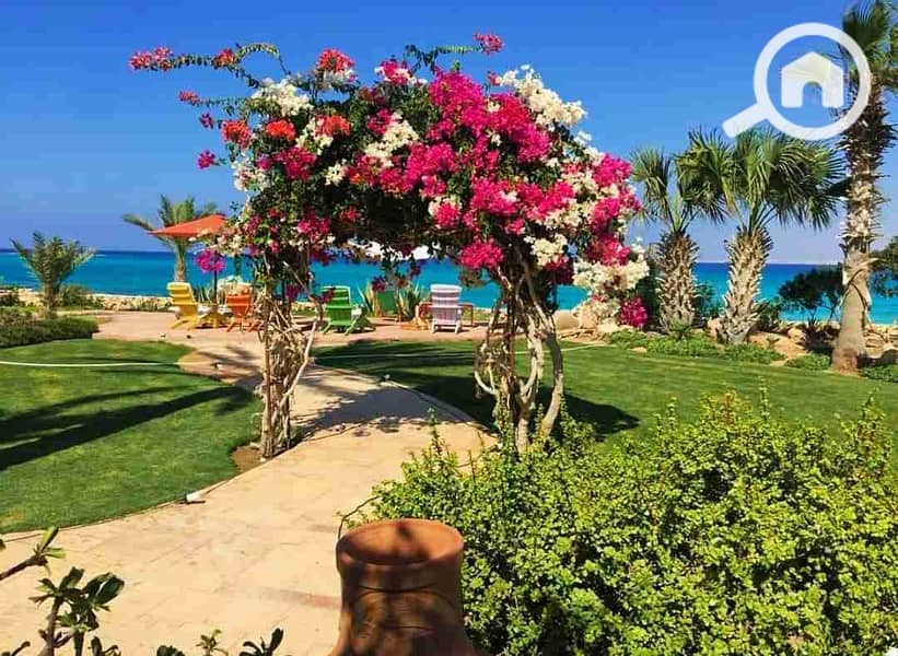 6 IMG-20251016-WA0095. jpg