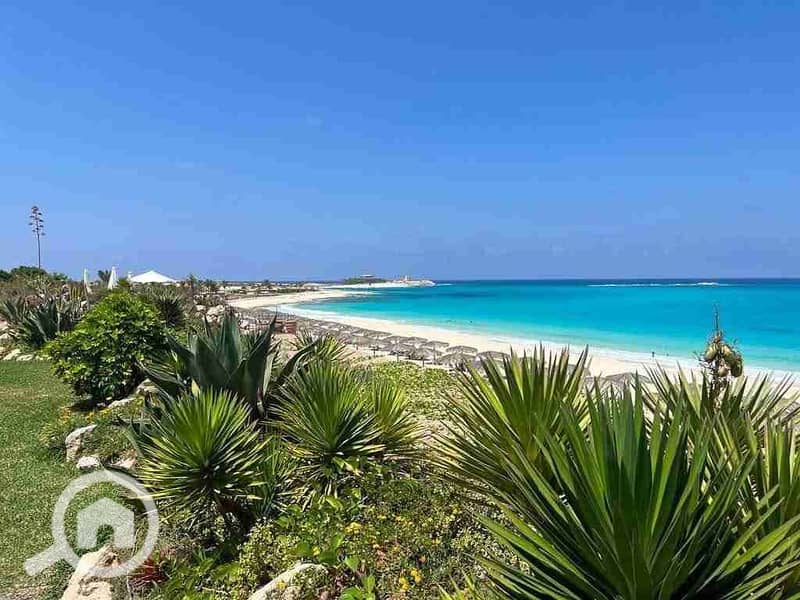 8 FB_IMG_1762162937987. jpg