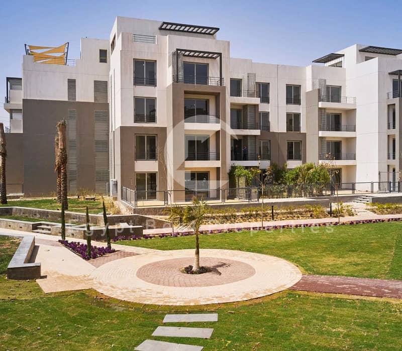 3 Palm Parks 6 1PPPPPPPPPPPPPP. jpg