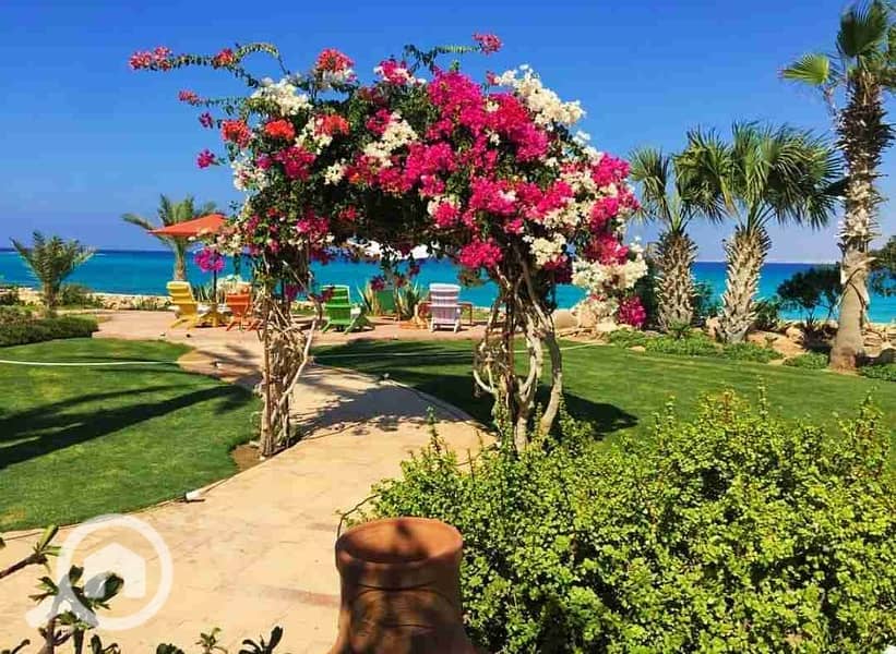 6 IMG-20251016-WA0095. jpg