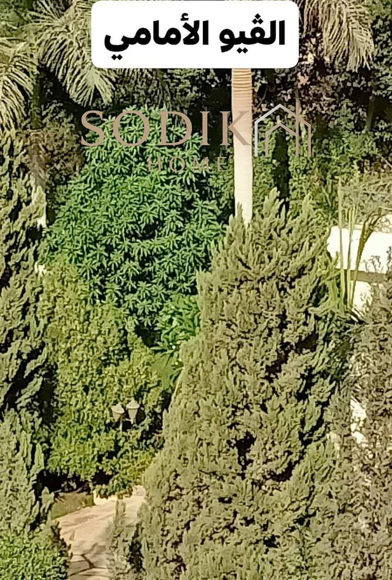 6 IMG-20241221-WA0038. jpg