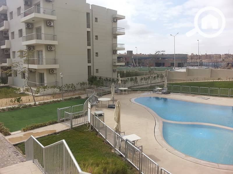 7 12573836_10154010492196454_1052478313866882010_n. jpg