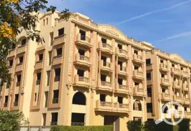 7 685c1a41e9fd0195648584. jpg