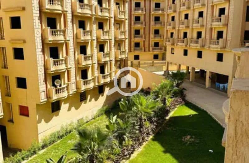 13 8165037-36febo. jpg