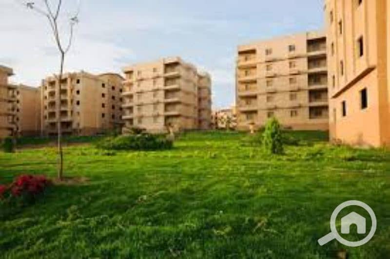 17 images (1). jfif. jpg