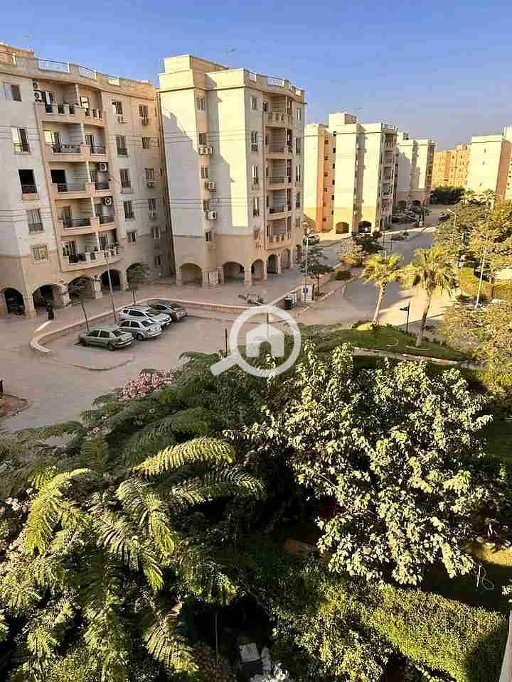 2 1762173811614. jpg