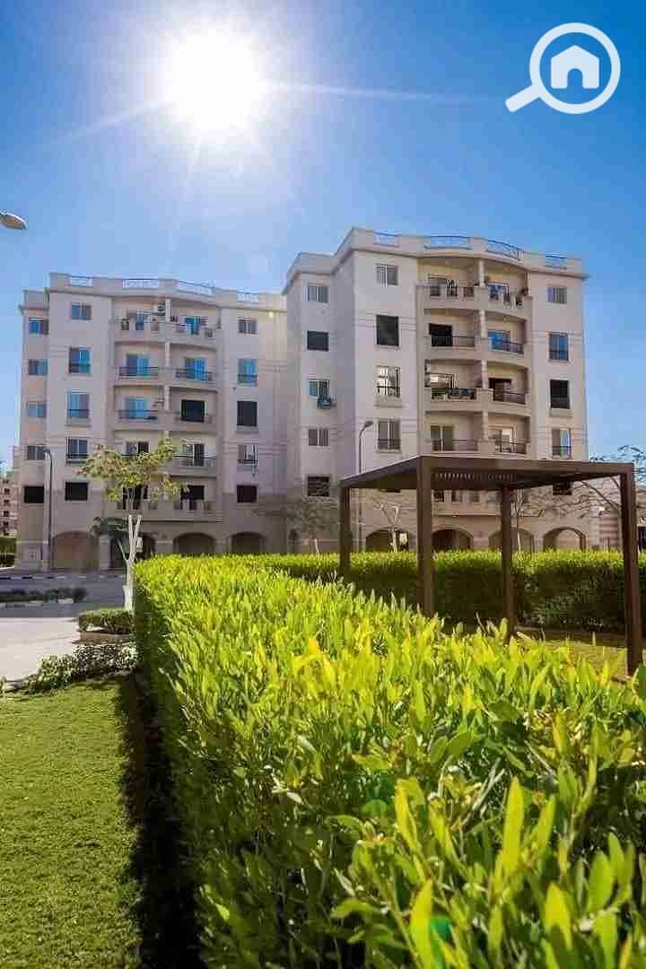 3 1762173861131. jpg