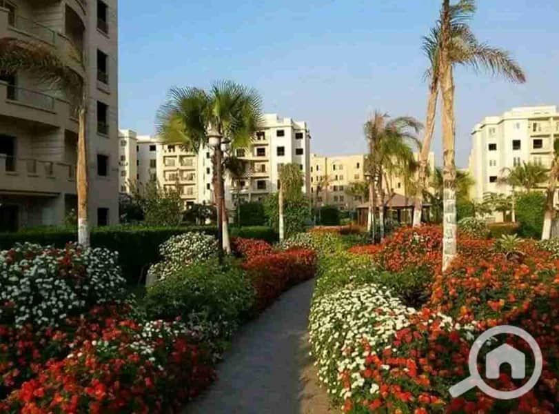 9 1762174383030. jpg