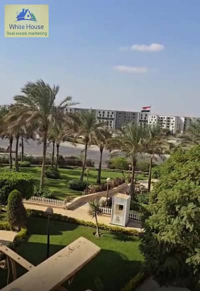 3 Bedroom Apartment for Rent in New Cairo, Cairo - 8f2e96b1-3af4-4ab2-a678-c217f39cf6ed. jpg