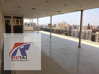 3 Bedroom Penthouse for Rent in Heliopolis, Cairo - WhatsApp Image 2025-11-01 at 13.31. 28. jpeg