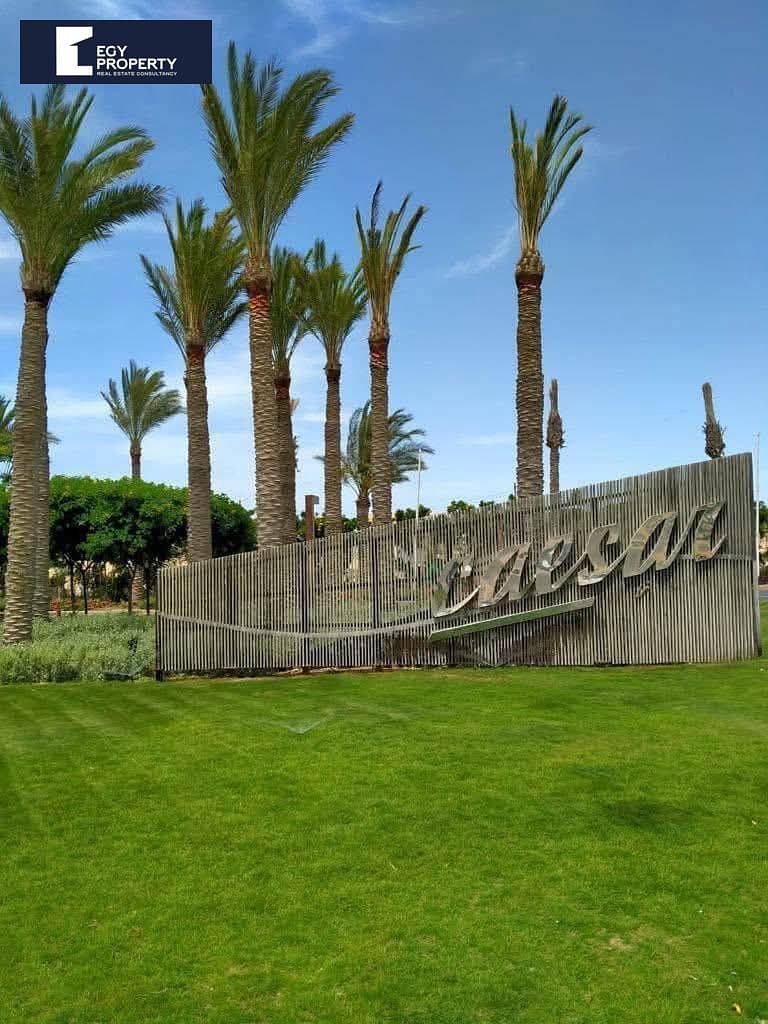 8 WhatsApp Image 2025-08-04 at 4.01. 59 PM (1). jpeg