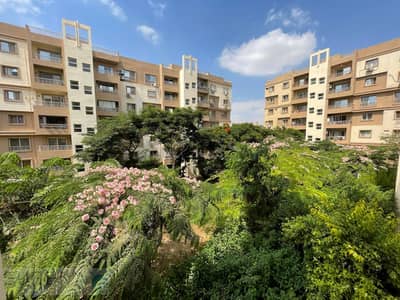 2 Bedroom Apartment for Sale in Madinaty, Cairo - WhatsApp Image 2025-11-02 at 1.46. 16 PM (1). jpeg