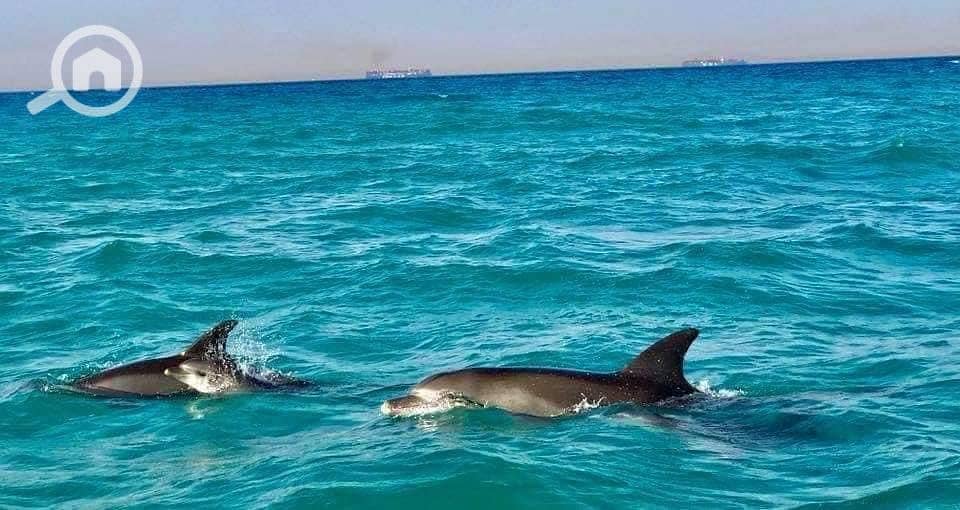 11 WhatsApp Image 2025-10-22 at 12.15. 14 PM. jpeg