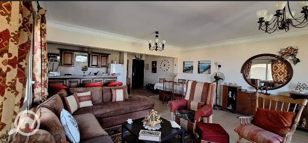 12 WhatsApp Image 2025-10-28 at 2.54. 40 PM. jpeg