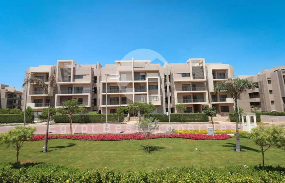 11 IMG_9400-copy. jpg