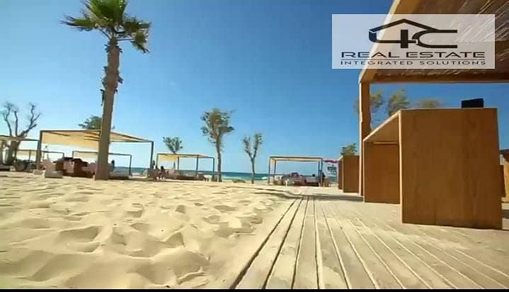 4 1e561c19-84c3-4f9f-981f-a7cbd50d7901. jpg