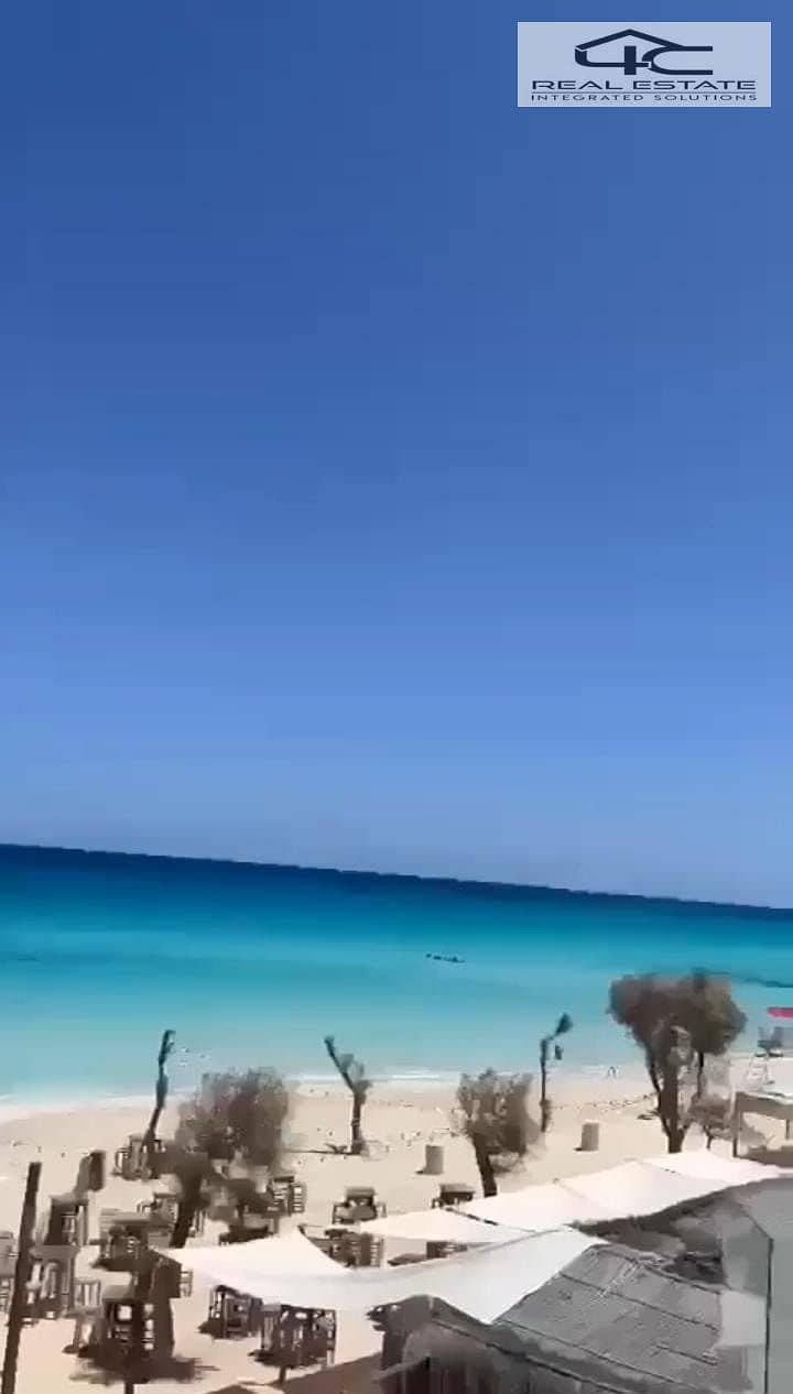 10 249fc617-cf36-4374-9030-ba48347b1376. jpg