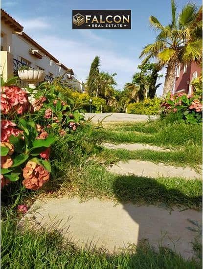 12 C-zzifzQkGZeTdMkbTeL0. jpg