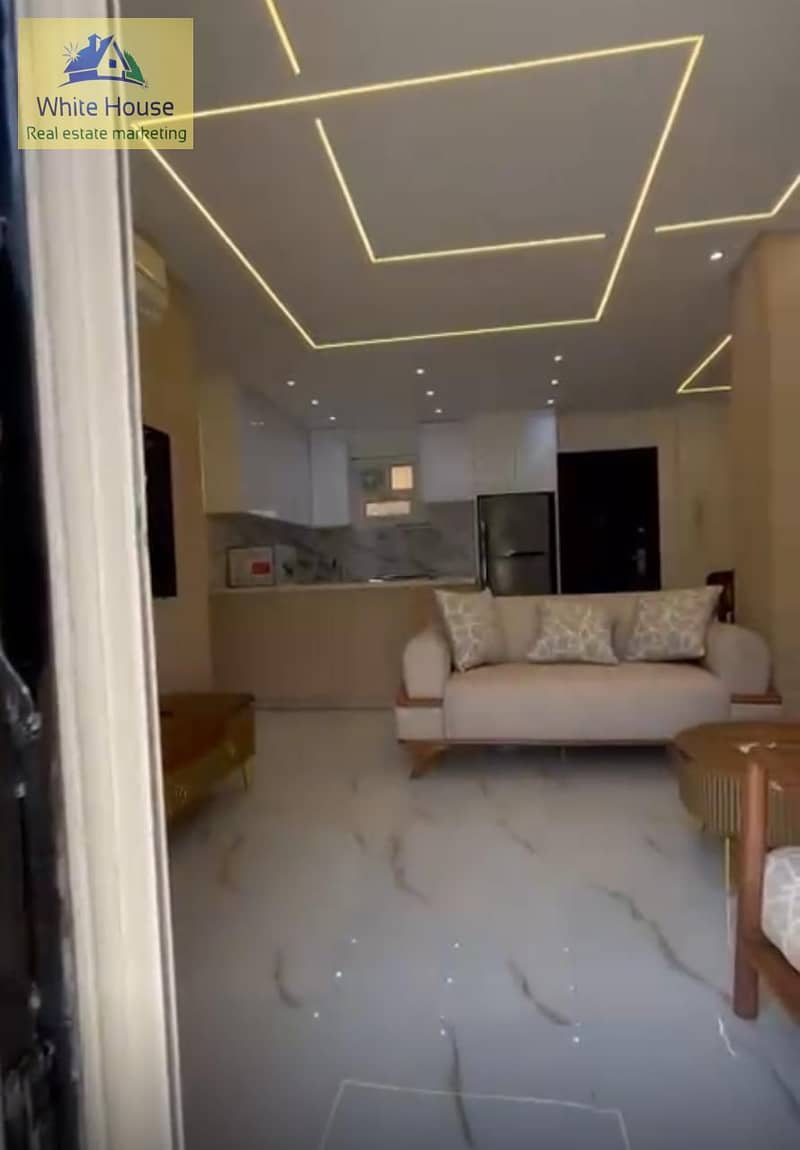 12 3746064b-7265-47ac-8ece-c5b90cae5c61. jpg