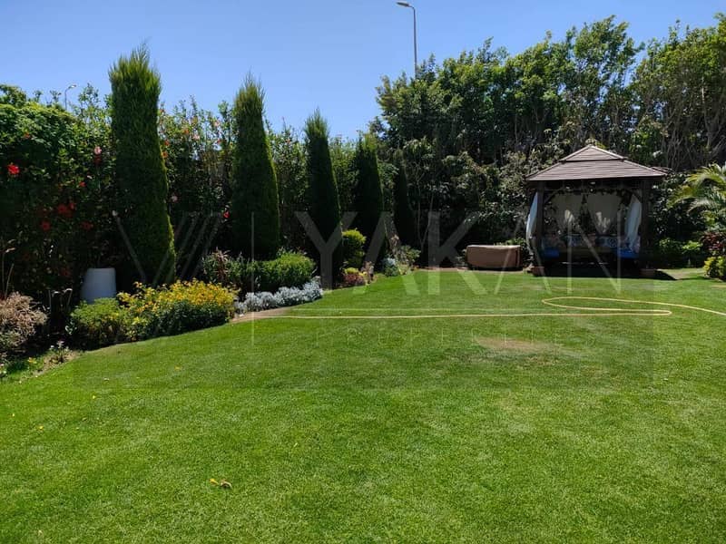 19 WhatsApp Image 2025-08-25 at 13.12. 28. jpeg