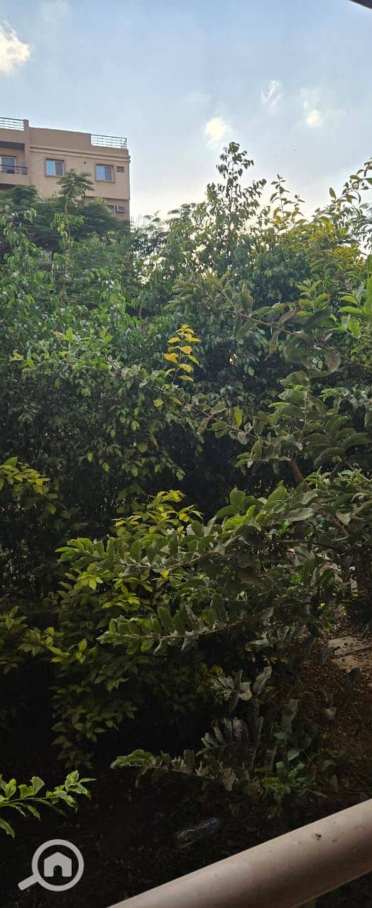 2 34206a55-dcd5-49e7-b432-bf8c963b393d. jpg